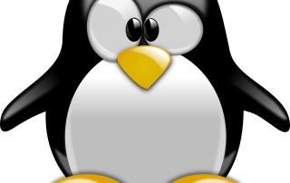 pinguin